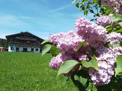 Ferienwohnung für 5 Personen (70 m²) in Achenkirch 6/10