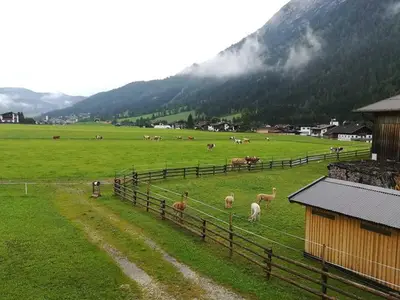 Ferienwohnung für 4 Personen (70 m²) in Achenkirch 10/10