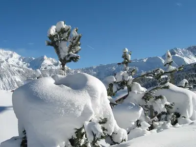 Ferienwohnung für 4 Personen (40 m²) in Achenkirch 7/10
