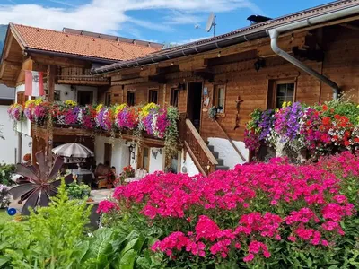 Ferienwohnung für 6 Personen (55 m²) in Achenkirch 1/10