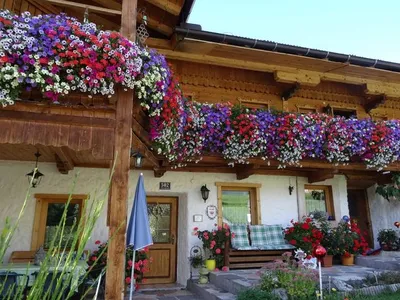 Ferienwohnung für 6 Personen (55 m²) in Achenkirch 2/10