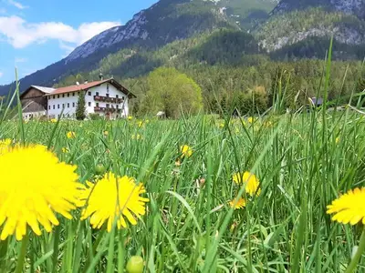 Ferienwohnung für 4 Personen (120 m²) in Achenkirch 2/10