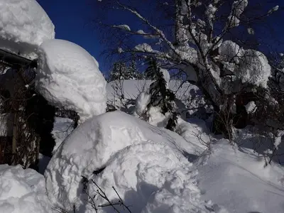 Ferienwohnung für 6 Personen (55 m²) in Achenkirch 6/10