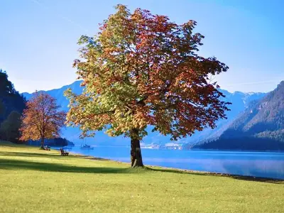 Ferienwohnung für 4 Personen (75 m²) in Achenkirch 9/10