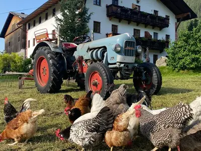 Ferienwohnung für 4 Personen (120 m²) in Achenkirch 6/10