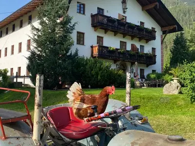 Ferienwohnung für 4 Personen (120 m²) in Achenkirch 7/10