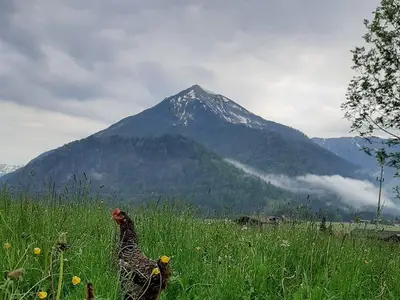 Ferienwohnung für 4 Personen (120 m²) in Achenkirch 8/10