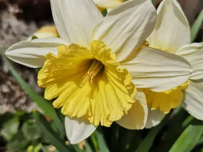 Ferienwohnung für 6 Personen (75 m²) in Achenkirch 5/10