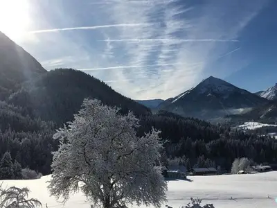 Ferienwohnung für 6 Personen (75 m²) in Achenkirch 10/10