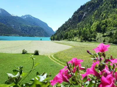 Ferienwohnung für 5 Personen (70 m²) in Achenkirch 8/10