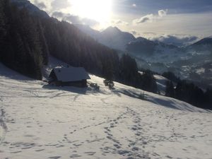 18984221-Ferienwohnung-8-Adelboden-300x225-5