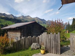 23298199-Ferienwohnung-4-Adelboden-300x225-4