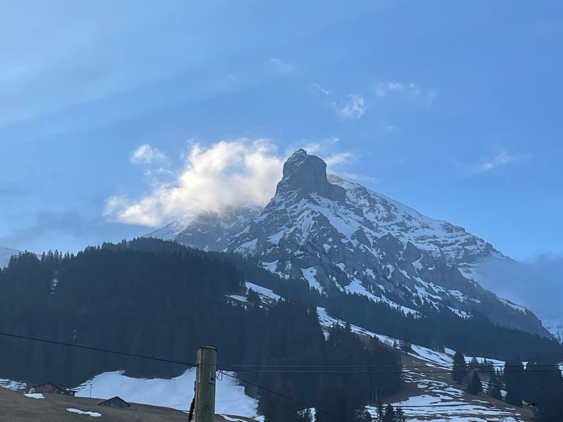 18984163-Ferienwohnung-5-Adelboden-800x600-1