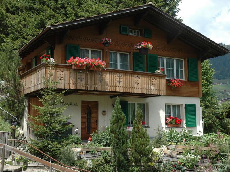 18984200-Ferienwohnung-2-Adelboden-800x600-0