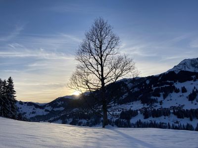 Blick Richtung Adelboden-Dorf