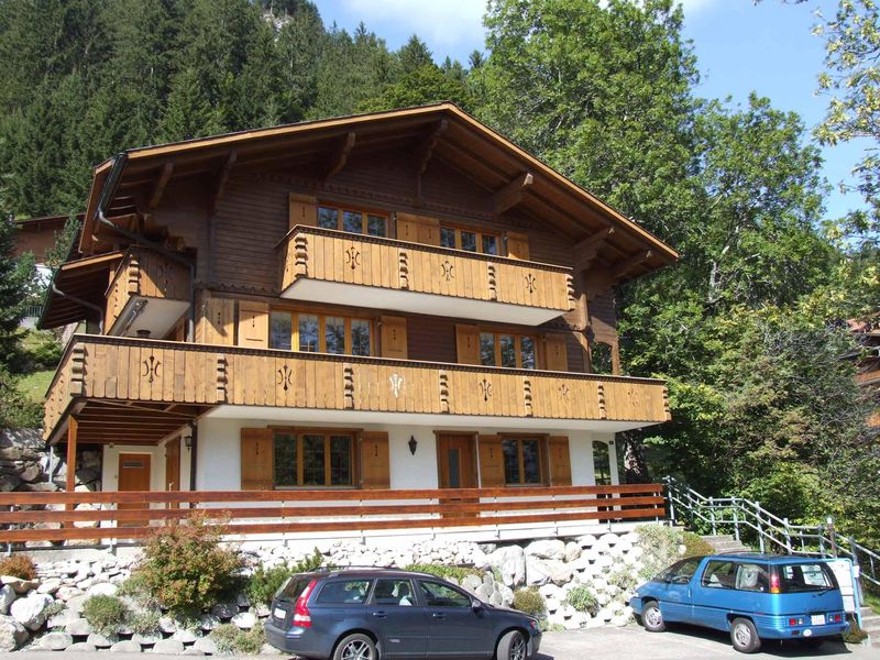 18984253-Ferienwohnung-3-Adelboden-800x600-0