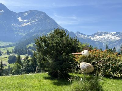 Blick zum Wildstrubel mit Vogel