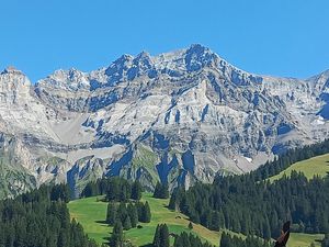 23501882-Ferienwohnung-4-Adelboden-300x225-3