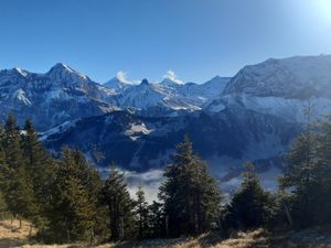 23501882-Ferienwohnung-4-Adelboden-300x225-4