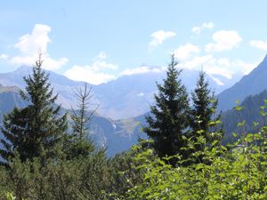 Ferienwohnung für 5 Personen (98 m²) in Adelboden