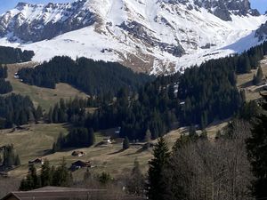 18994964-Ferienwohnung-6-Adelboden-300x225-5