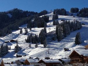 23838547-Ferienwohnung-4-Adelboden-300x225-5