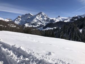 23841822-Ferienwohnung-4-Adelboden-300x225-2