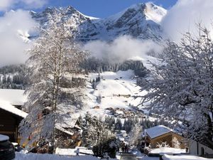 23841822-Ferienwohnung-4-Adelboden-300x225-3