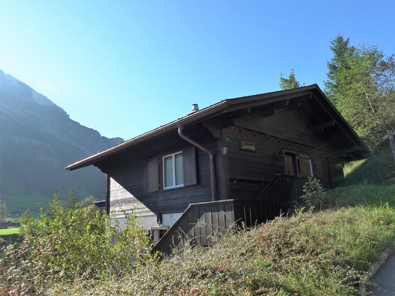 23893832-Ferienwohnung-3-Adelboden-800x600-0