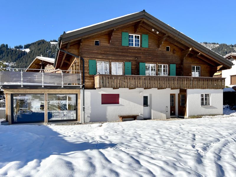 18984206-Ferienwohnung-9-Adelboden-800x600-2