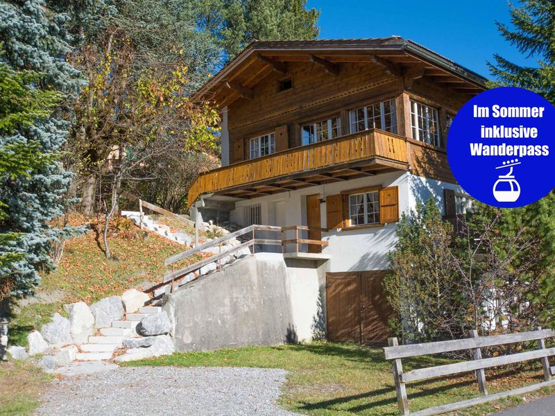 19377843-Ferienwohnung-5-Adelboden-800x600-0