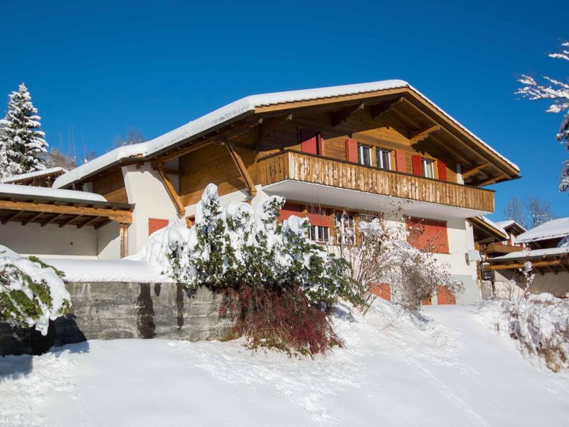 18984214-Ferienwohnung-6-Adelboden-800x600-2