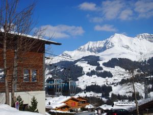 18984129-Ferienwohnung-2-Adelboden-300x225-5