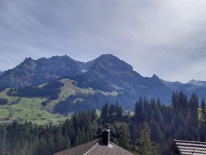 23503120-Ferienwohnung-7-Adelboden-300x225-3