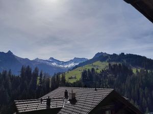 23503120-Ferienwohnung-7-Adelboden-300x225-4