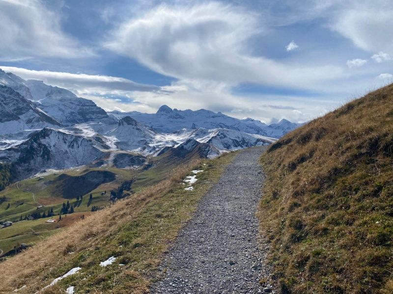 23854559-Ferienwohnung-6-Adelboden-800x600-1