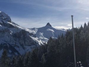 23856621-Ferienwohnung-4-Adelboden-300x225-2