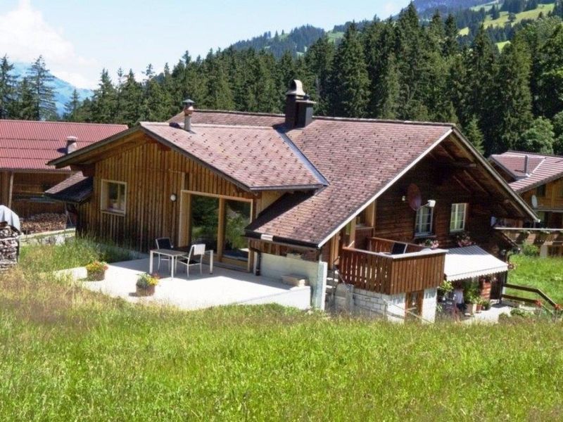 23856631-Ferienwohnung-2-Adelboden-800x600-0