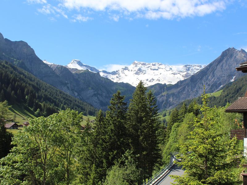 24036394-Ferienwohnung-5-Adelboden-800x600-1