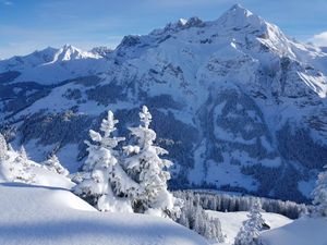 23856303-Ferienwohnung-2-Adelboden-300x225-1