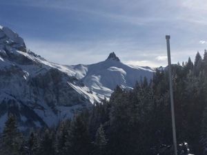 Ferienwohnung für 4 Personen in Adelboden