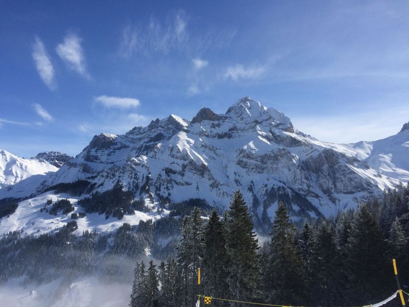 23856621-Ferienwohnung-4-Adelboden-800x600-2