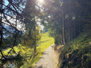 23854559-Ferienwohnung-6-Adelboden-300x225-1