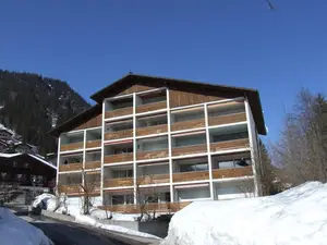 Ferienwohnung für 2 Personen (29 m²) in Adelboden