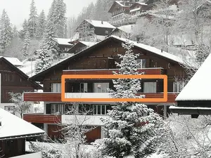Ferienwohnung für 4 Personen (60 m²) in Adelboden