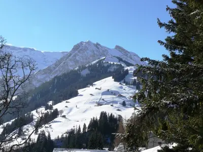Panorama Winter