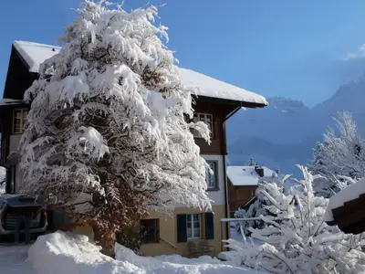 Winter 11