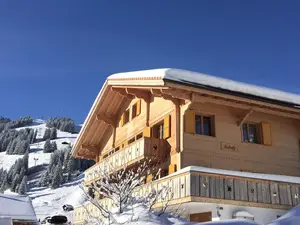 Ferienwohnung für 4 Personen (66 m²) in Adelboden