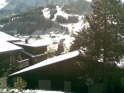 Winter 3
