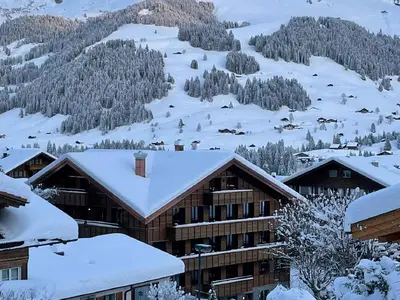 Ferienwohnung für 6 Personen (32 m²) in Adelboden 2/10